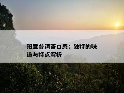 班章普洱茶口感：独特的味道与特点解析