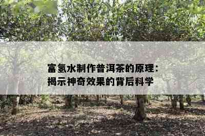 富氢水制作普洱茶的原理：揭示神奇效果的背后科学