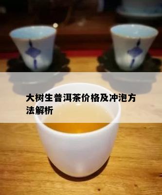 大树生普洱茶价格及冲泡方法解析