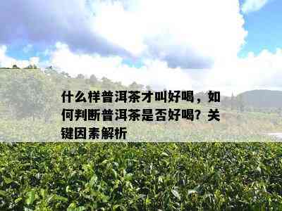 什么样普洱茶才叫好喝，怎样判断普洱茶是不是好喝？关键因素解析