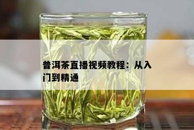 普洱茶直播视频教程：从入门到精通