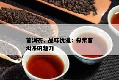 普洱茶，品味优雅：探索普洱茶的魅力