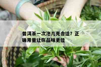 普洱茶一次泡几克合适？正确用量让你品味更佳