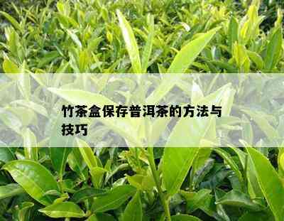 竹茶盒保存普洱茶的方法与技巧