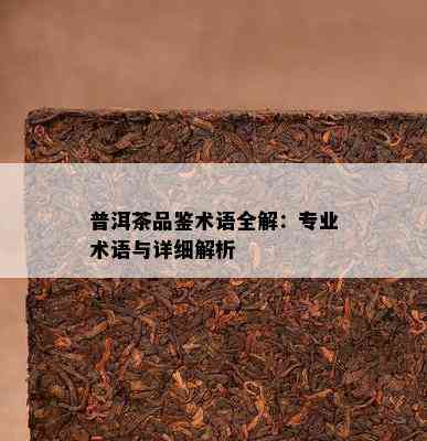 普洱茶品鉴术语全解：专业术语与详细解析