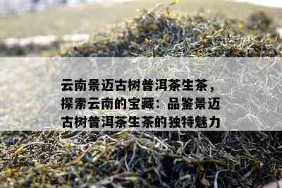 云南景迈古树普洱茶生茶，探索云南的宝藏：品鉴景迈古树普洱茶生茶的特别魅力