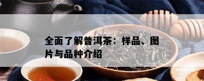 全面熟悉普洱茶：样品、图片与品种介绍