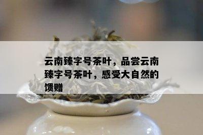 云南臻字号茶叶，品尝云南臻字号茶叶，感受大自然的馈赠