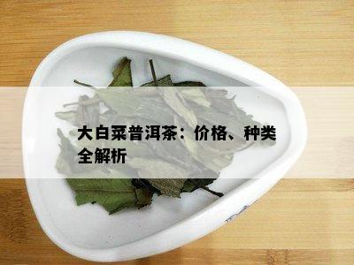 大白菜普洱茶：价格、种类全解析