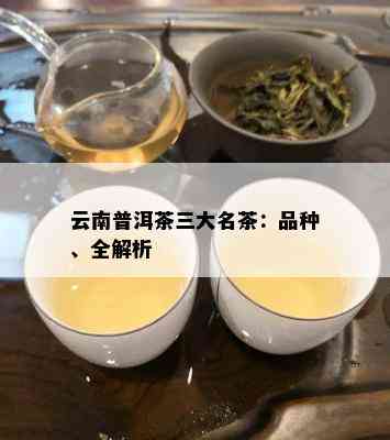 云南普洱茶三大名茶：品种、全解析