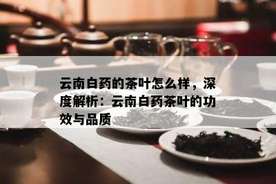 云南白的茶叶怎么样，深度解析：云南白茶叶的功效与品质