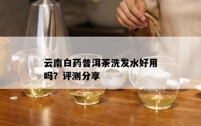 云南白普洱茶洗发水好用吗？评测分享