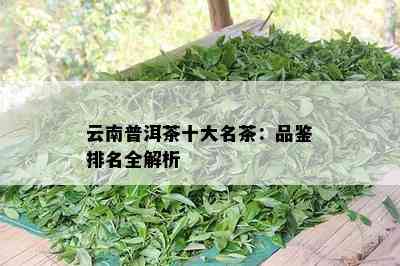 云南普洱茶十大名茶：品鉴排名全解析