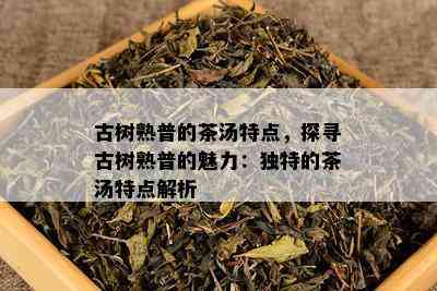 古树熟普的茶汤特点，探寻古树熟普的魅力：独特的茶汤特点解析