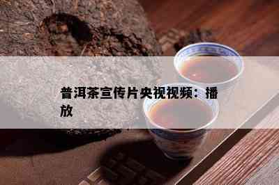 普洱茶宣传片央视视频：播放