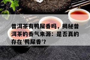 普洱茶有鸭屎香吗，揭秘普洱茶的香气来源：是不是真的存在'鸭屎香'？