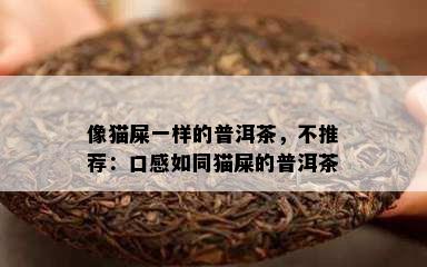 像猫屎一样的普洱茶，不推荐：口感如同猫屎的普洱茶