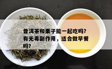 普洱茶和栗子能一起吃吗？有无副作用，适合做早餐吗？