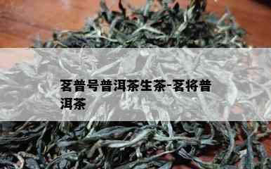 茗普号普洱茶生茶-茗将普洱茶