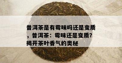 普洱茶是有霉味吗还是变质，普洱茶：霉味还是变质？揭开茶叶香气的奥秘