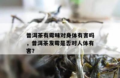 普洱茶有霉味对身体有害吗，普洱茶发霉是不是对人体有害？