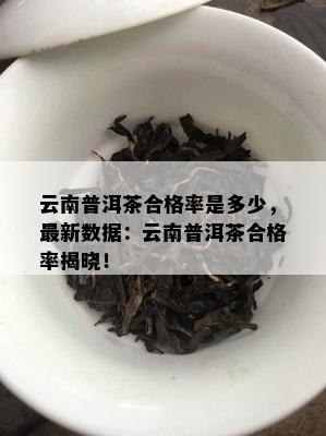 云南普洱茶合格率是多少，最新数据：云南普洱茶合格率揭晓！