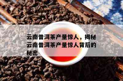 云南普洱茶产量惊人，揭秘云南普洱茶产量惊人背后的秘密