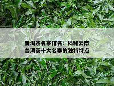 普洱茶名寨排名：揭秘云南普洱茶十大名寨的特别特点