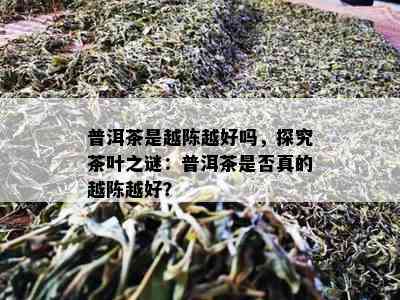 普洱茶是越陈越好吗，探究茶叶之谜：普洱茶是否真的越陈越好？