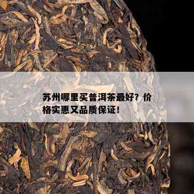 苏州哪里买普洱茶更好？价格实惠又品质保证！