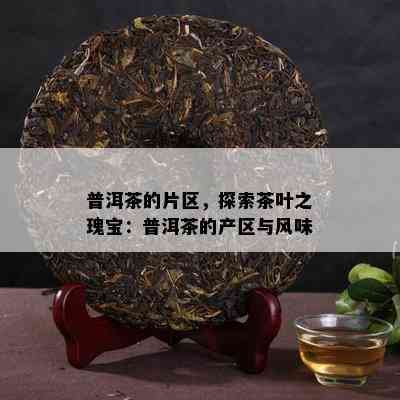 普洱茶的片区，探索茶叶之瑰宝：普洱茶的产区与风味