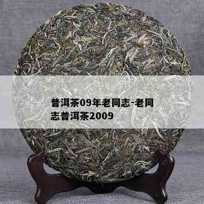 普洱茶09年老同志-老同志普洱茶2009