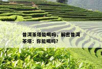 普洱茶塔能喝吗，解密普洱茶塔：你能喝吗？