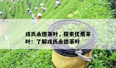 戎氏永德茶叶，探索优质茶叶：熟悉戎氏永德茶叶