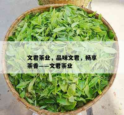 文君茶业，品味文君，畅享茶香——文君茶业