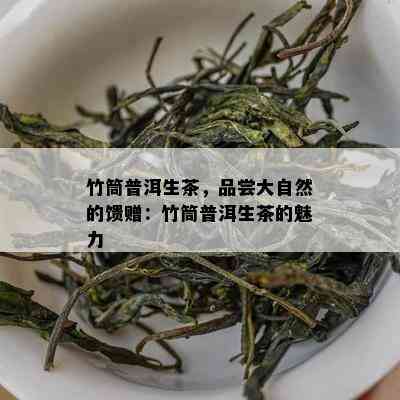 竹筒普洱生茶，品尝大自然的馈赠：竹筒普洱生茶的魅力