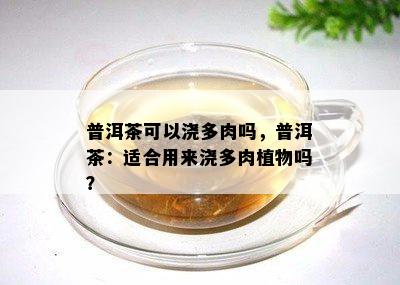 普洱茶可以浇多肉吗，普洱茶：适合用来浇多肉植物吗？