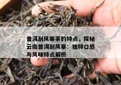 普洱刮风寨茶的特点，探秘云南普洱刮风寨：特别口感与风味特点解析