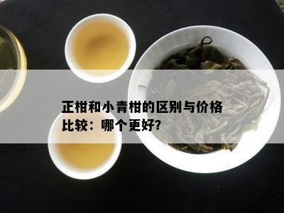 正柑和小青柑的区别与价格比较：哪个更好？