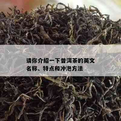 请你介绍一下普洱茶的英文名称、特点和冲泡方法