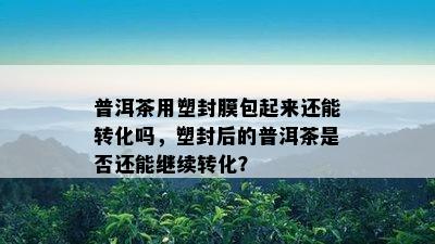 普洱茶用塑封膜包起来还能转化吗，塑封后的普洱茶是否还能继续转化？