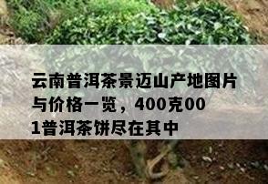 云南普洱茶景迈山产地图片与价格一览，400克001普洱茶饼尽在其中