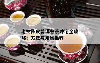 老树陈皮普洱熟茶冲泡全攻略：方法与用具推荐