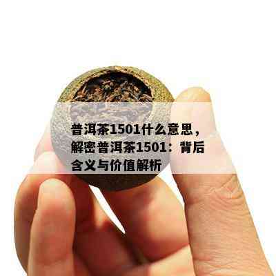 普洱茶1501什么意思，解密普洱茶1501：背后含义与价值解析