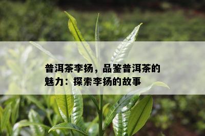 普洱茶李扬，品鉴普洱茶的魅力：探索李扬的故事