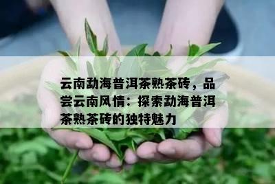 云南勐海普洱茶熟茶砖，品尝云南风情：探索勐海普洱茶熟茶砖的特别魅力