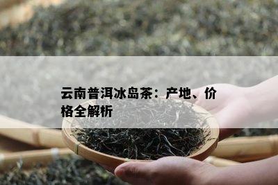 云南普洱冰岛茶：产地、价格全解析