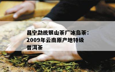 昌宁勐统银山茶厂冰岛茶：2009年云南原产地特级普洱茶