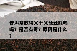 普洱茶放得又干又硬还能喝吗？是不是有？起因是什么？