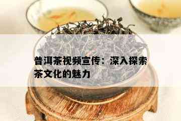 普洱茶视频宣传：深入探索茶文化的魅力